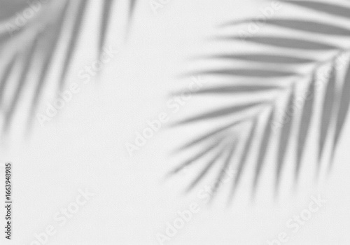 Dark Gray Grunge Texture Concrete Style Backdrop Effect on Transparent Background