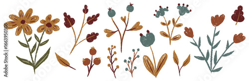 Set chalk autumn botanic floral elements. Branches, leaves, herbs, wildflowers, berries. Hand drawn fall garden, field collection. Kids freehand vintage pencil textured vector illustration isolated