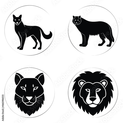 Feline animal portraits in circles lion tiger