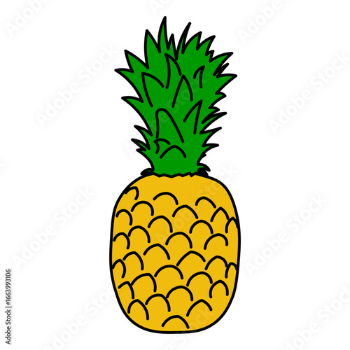 illustration of fruit vector pattern cartoon.