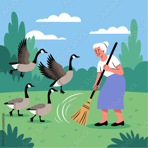 Vector Image:  wild goose chase - old woman chasing canadian geese out of her yard with a broom 6