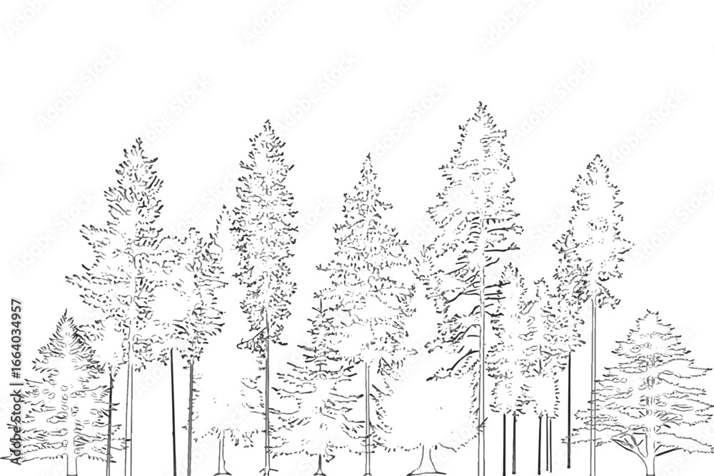 Fototapeta premium Wetland forest outline for landscape design drawings, side view, architectural drawings