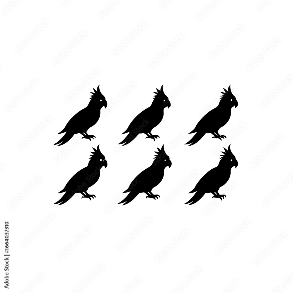 Obraz premium 6 different cockatoo silhouette vector icons set 