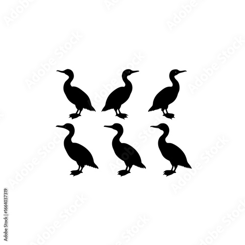 6 different cormorant silhouette vector icons set 