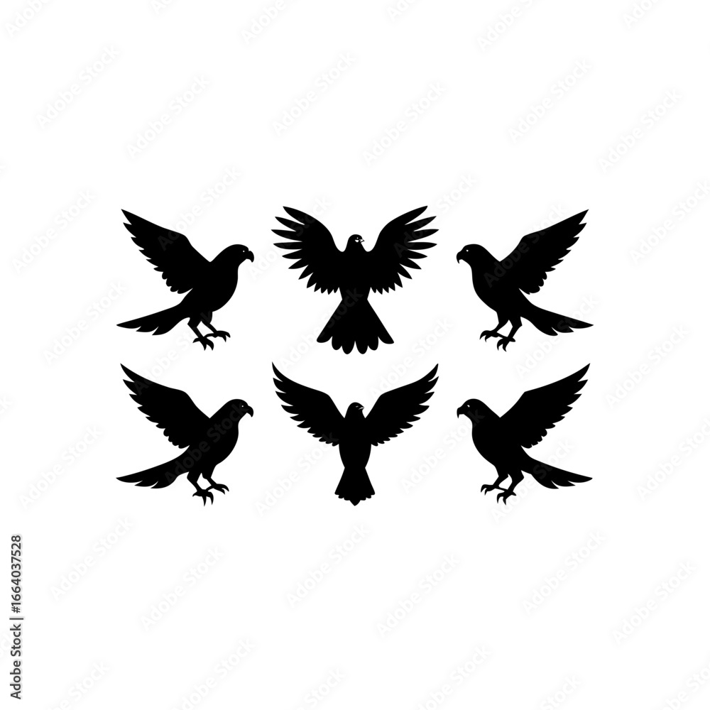 Obraz premium 6 different hawk silhouette vector icons set on wh