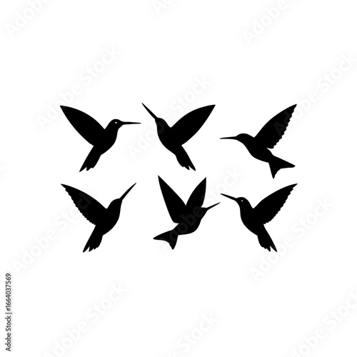 6 different hummingbird silhouette vector icons se