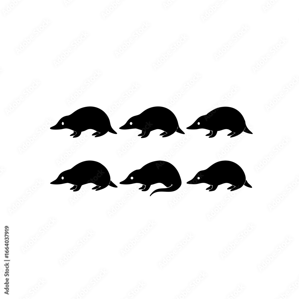 Fototapeta premium 6 different mole silhouette vector icons set on wh