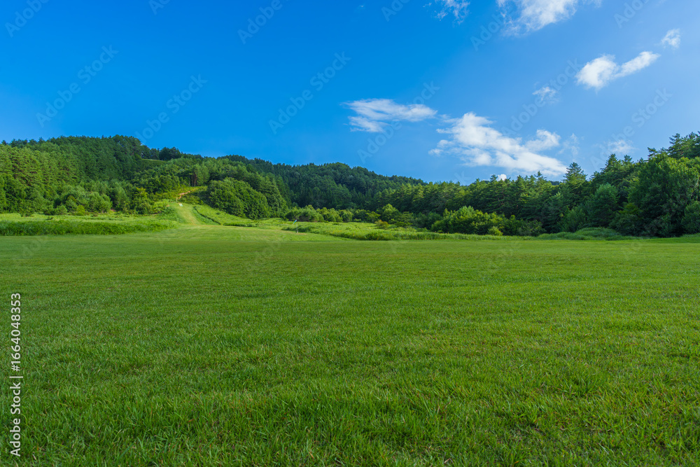 Obraz premium 原山市民公園（高山市） 夏