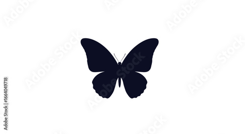 Elegant butterfly silhouette on pristine white backdrop highlighting nature's grace
