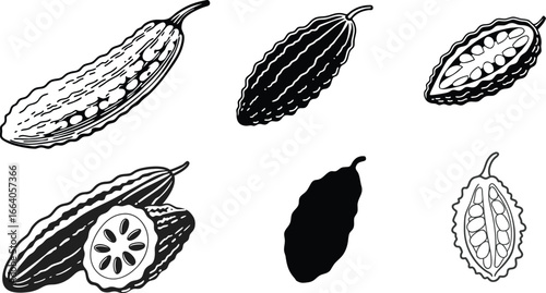 Black and white Illustration of various Bitter Gourd, Bitter Gourd Silhouette Vector.