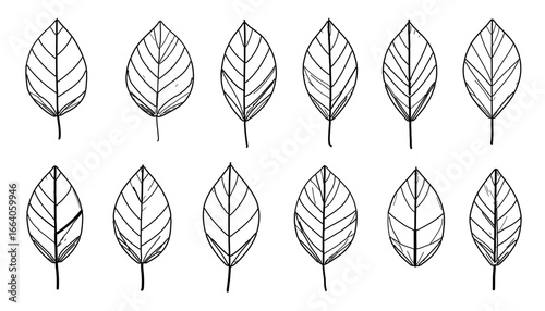 Minimalist SVG icon set featuring geometric leaf shapes with clean lines. Simple modern design for eco logos, nature branding, and organic product packaging.