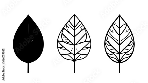 Minimalist SVG icon set featuring geometric leaf shapes with clean lines. Simple modern design for eco logos, nature branding, and organic product packaging.