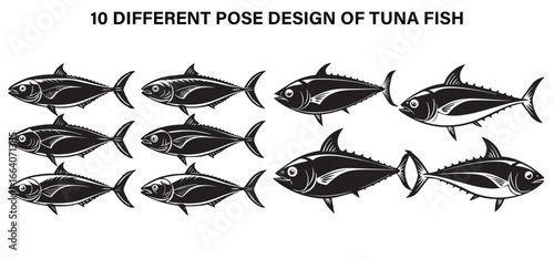 Speed of the Seas – Tuna Power