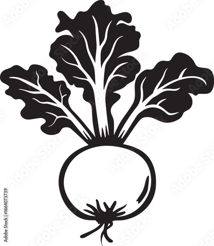Kohlrabi icon clean simple