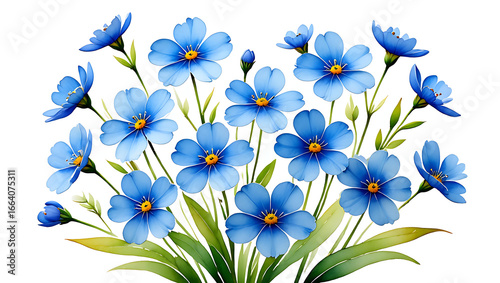Beautiful blue flowers arrangement nature isolated on transparent background, png, Top side closeup macro view of blue flowers with leaves, on a white isolated background PNG