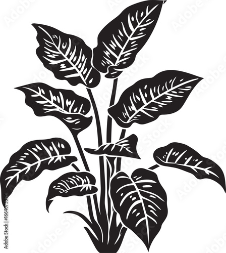 Dieffenbachia - Dumb Cane icon clean simple silhouette