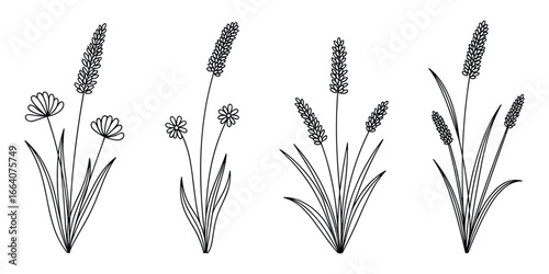 Elegant Collection of Botanical Line Art: Floral Arrangements and Plant Illustrations.