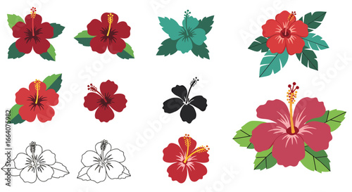 Collection of hibiscus flower vector illustrations in PNG format, perfect for various design projects, featuring red, teal, and black hibiscus variations, including line art and solid color options,