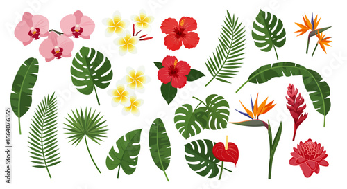 A vibrant vector illustration showcasing an array of tropical flowers and foliage, perfect for adding a touch of exotic flair to any design project or creative endeavor.