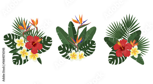 Vibrant tropical floral arrangements featuring hibiscus and bird of paradise flowers with lush green foliage, perfect for summer designs.