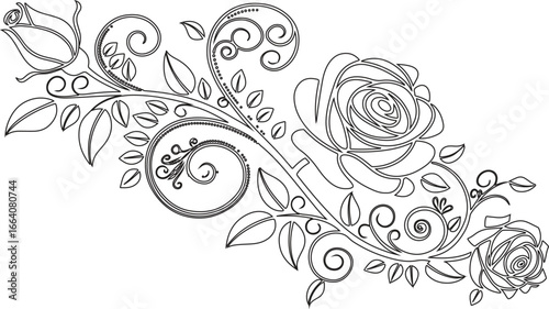 Rose floral swirl vector design, elegant ornamental botanical illustration