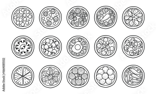 Outline variant pizza with top view vector graphic illustration set