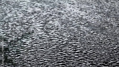河辺の風景