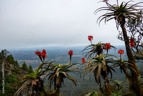 Panorama route, South Africa, Gods Window view.