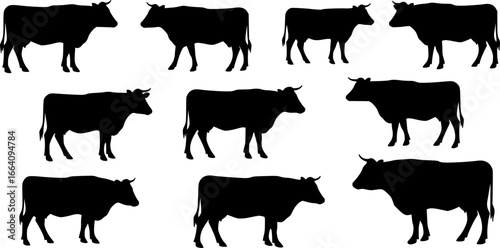 cow silhouette Vector set, cattle silhouettes, diverse breed of cows. Ideal for farm, ranch branding. Perfect for logos, decals. Black, white background. Bulls, cows, standing, walking, running