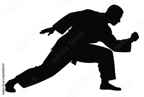 Silhouette of a man in karate stance ready to strike powerfully forward