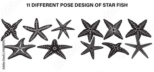 Stars Beneath the Waves – Starfish Beauty