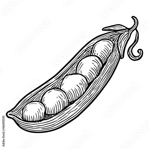 Pea Pod