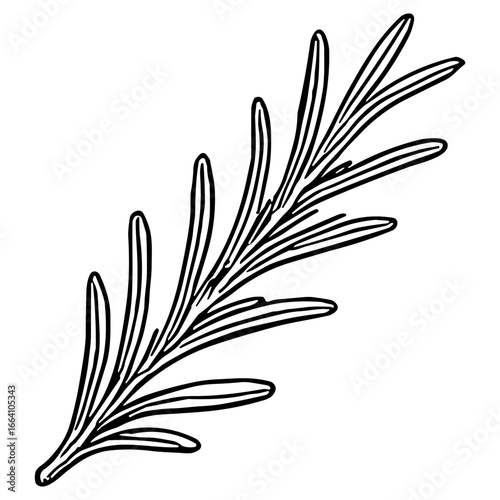 Rosemary Sprig