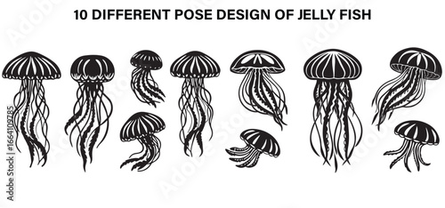 Floating Wonders – Jellyfish Glow