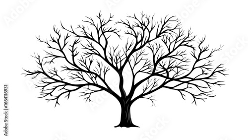 Illustration of a leafless tree with intricate branching patterns against a white background image art