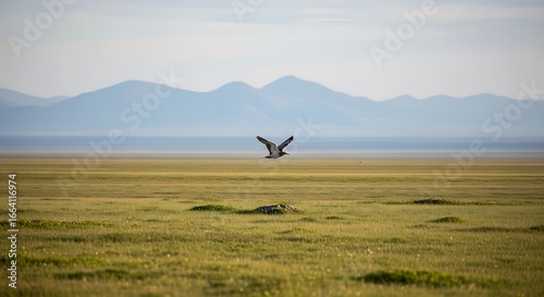 A bird in flight over a vast, open grassland with distant mountains under a cloudy sky.