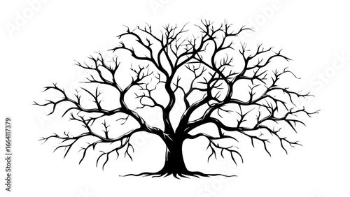 Illustration of a bare tree with intricate branches and roots in black and white on a white background