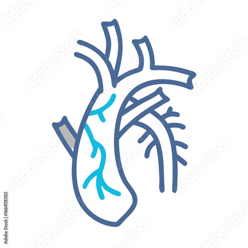 Anatomical heart illustration in flat graphic style on black