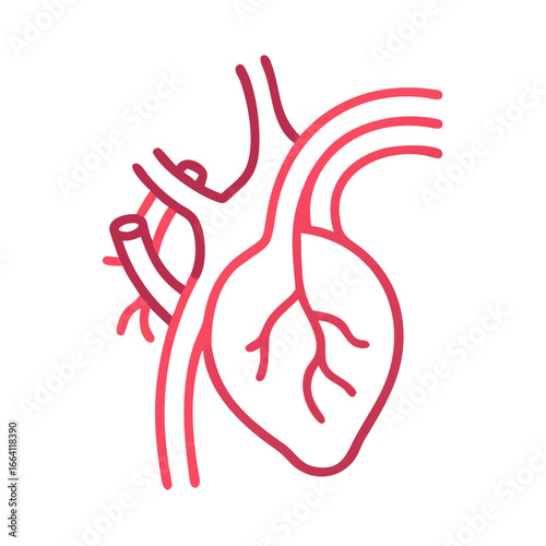 Heart anatomy illustration in pink on dark background graphic