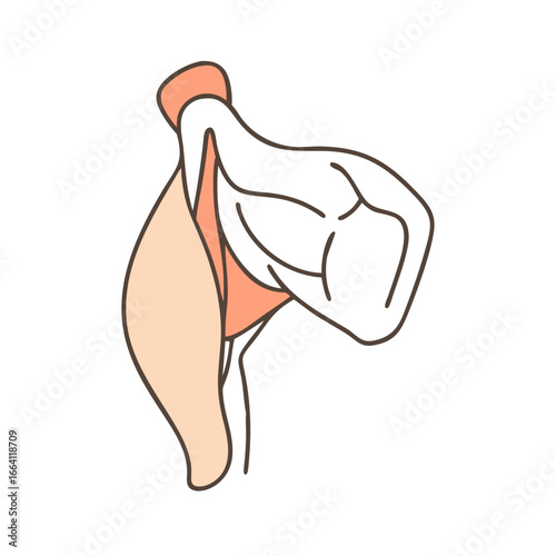 Stylized illustration of strong arm muscle on black backdrop