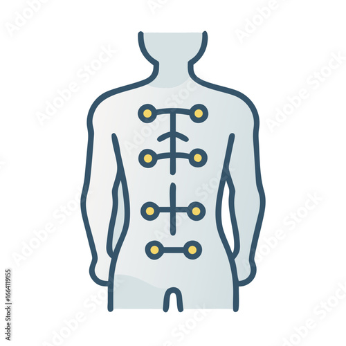 Spine alignment represented in a figure highlighting vertebral health