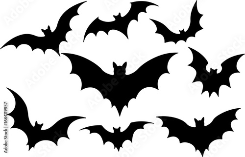 set of Halloween bats, silhouette, bird, vector, animal, illustration, flying, nature, birds, fly, black, wildlife, bat, Halloween, wings, wild, flight, icon, fish, wing, set, eagle, animals, design, 