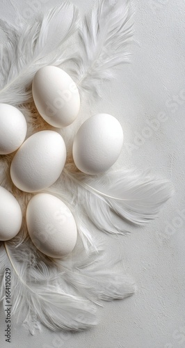 White eggs nestled among delicate white feathers