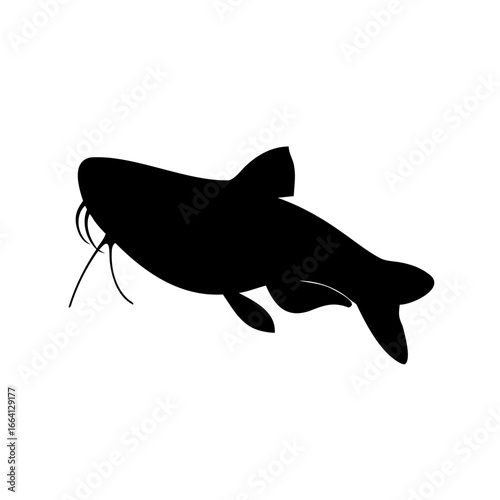 A Silhouette of a Catfish with Prominent Whiskers Swimming on a White Backdrop