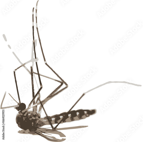 mosquito sucking blood