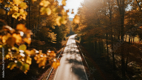 A magnificent road, dyed by autumn colors, winding through the forest.