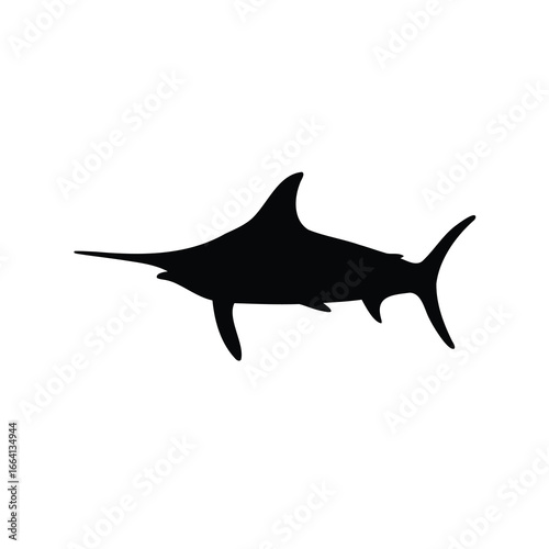 shark isolated on white