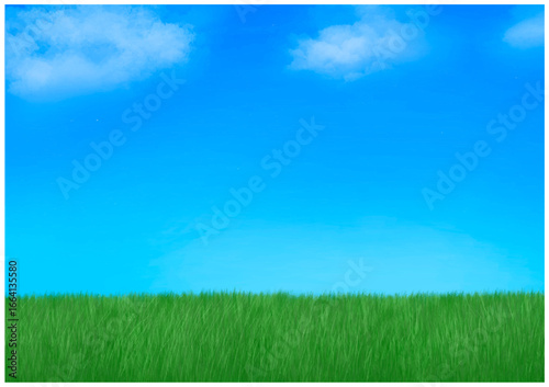 Green Lawn with Blue Sky and Light Clouds（芝生と青空とうすい雲）