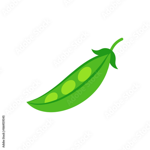 Bright green open pea pod with peas vector illustration scalable graphic