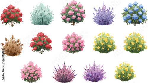Colorful garden bushes collection, blooming shrubs illustration, vibrant floral plants, seasonal nature foliage, landscaping elements, decorative backyard plants design.